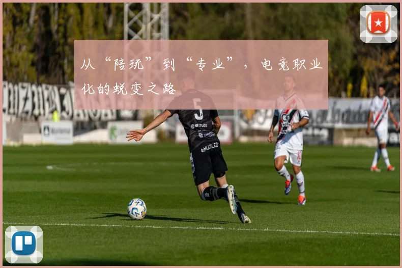 从“陪玩”到“专业”，电竞职业化的蜕变之路