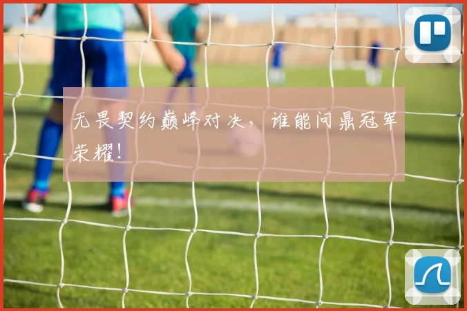 无畏契约巅峰对决，谁能问鼎冠军荣耀！