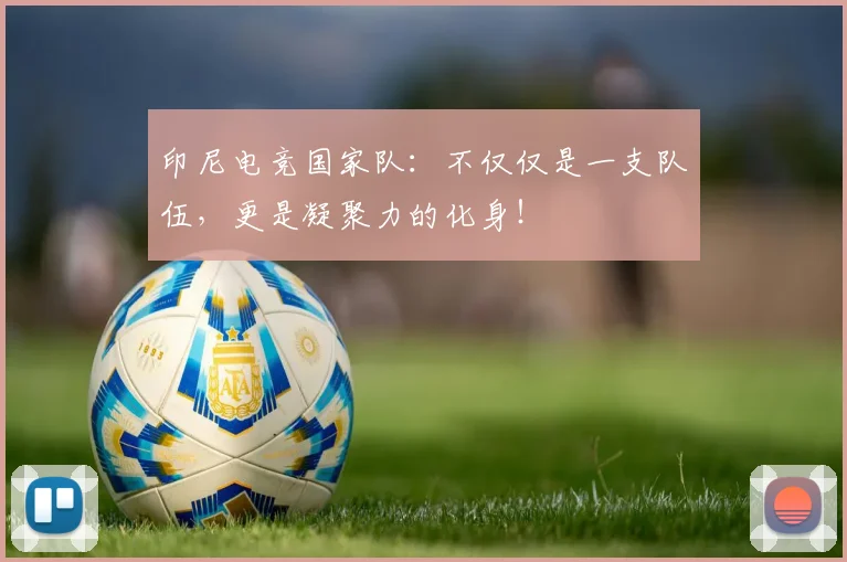 印尼电竞国家队：不仅仅是一支队伍，更是凝聚力的化身！