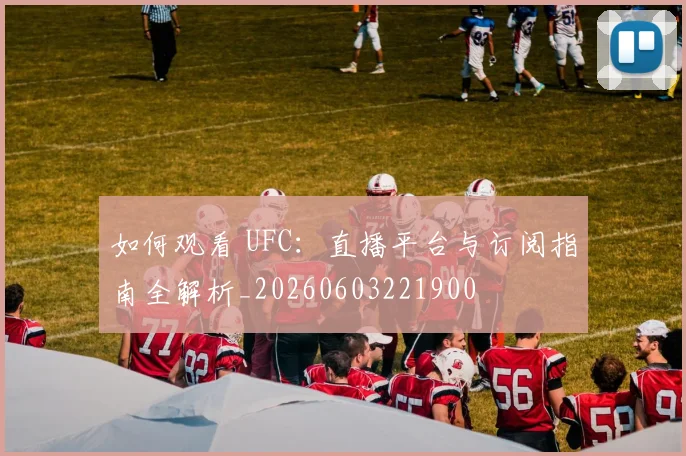 如何观看 UFC:直播平台与订阅指南全解析_20260603221900