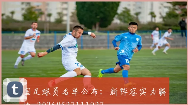 国足球员名单公布：新阵容实力解读_20260527111927