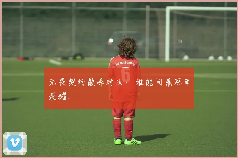 无畏契约巅峰对决，谁能问鼎冠军荣耀！